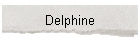 Delphine